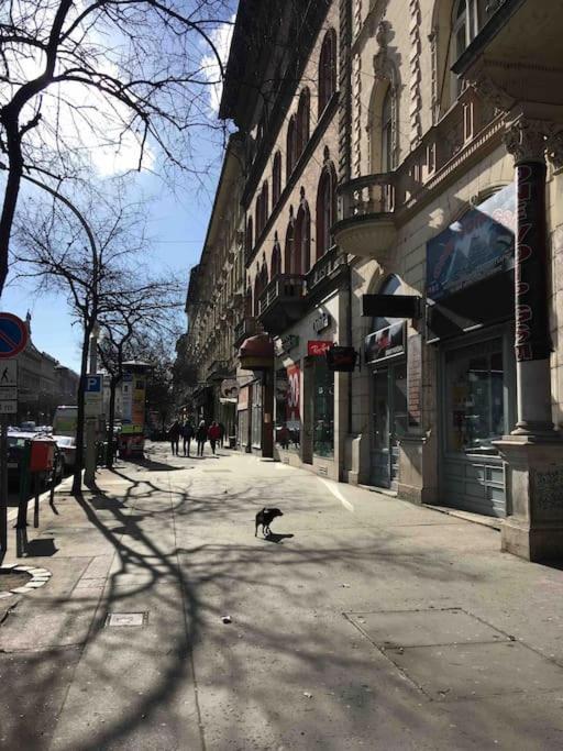Ferienwohnung Downtown Island Of Peace By Nw Budapest Exterior foto